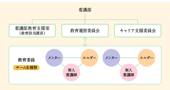 チーム支援型（メンター、エルダー）