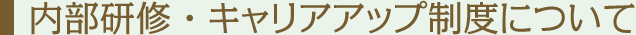 内部研修・キャリアアップ制度について 