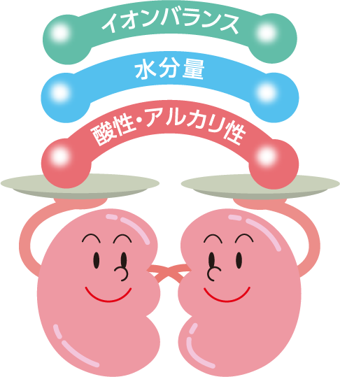 二つの腎臓が、「イオンバランス」、「水分量」、「酸性・アルカリ性」という文字が乗っている皿を持っている