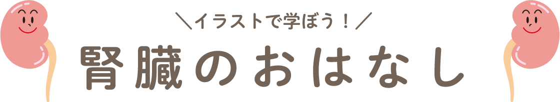 腎臓のおはなし