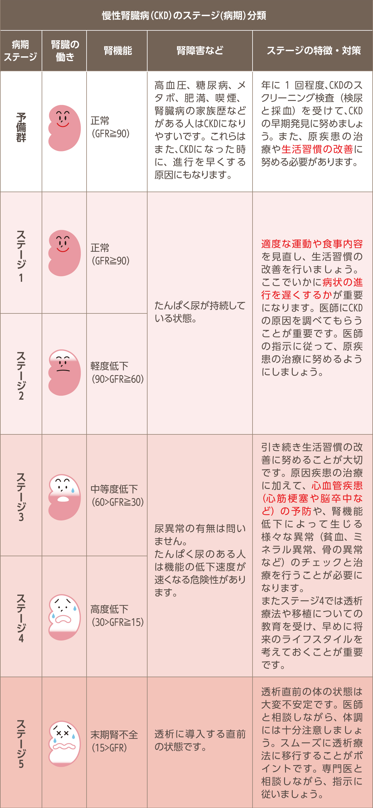 イラストで学ぼう 腎臓のおはなし 偕行会グループの透析医療