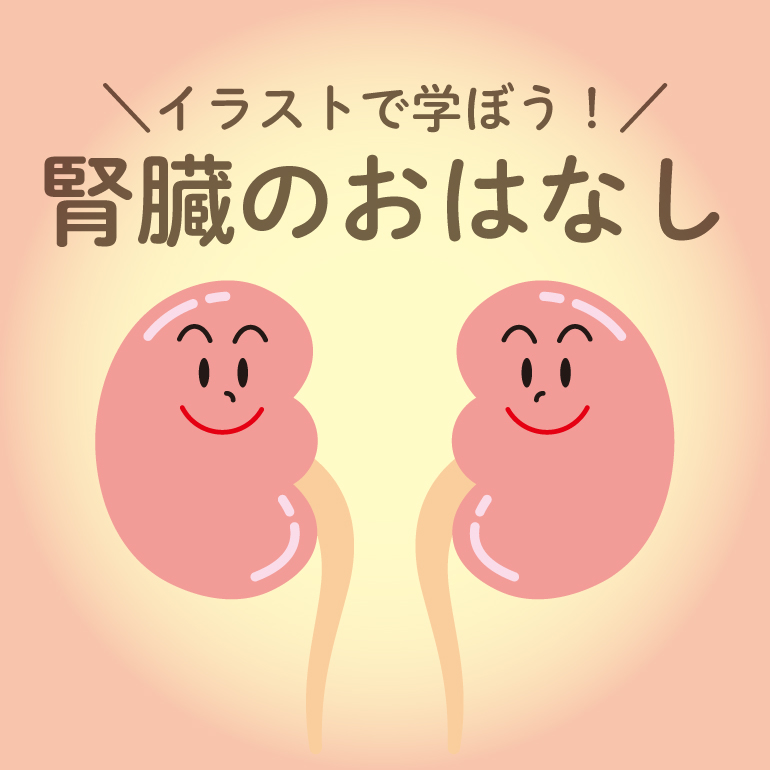 イラストで学ぼう！腎臓のおはなし