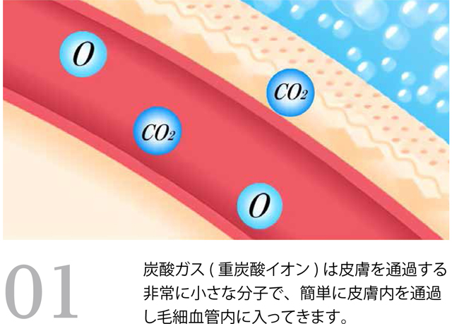 毛細血管を広げ 血流を活性化