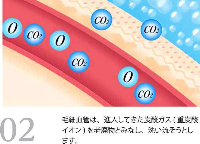 毛細血管を広げ 血流を活性化