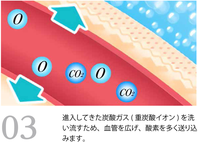 毛細血管を広げ 血流を活性化