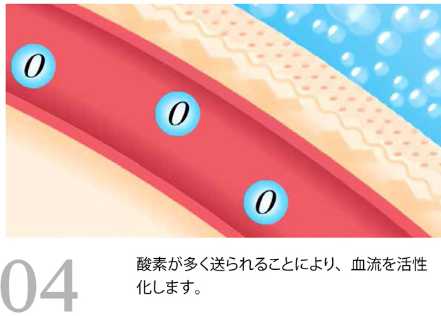 毛細血管を広げ 血流を活性化