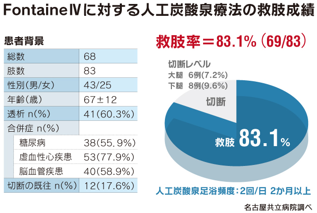 人工炭酸泉療法の救肢成績